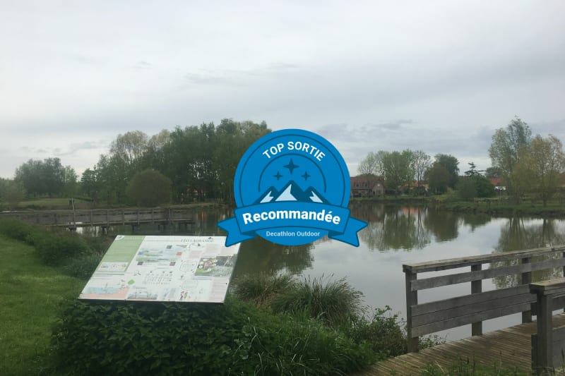 Balade à travers la campagne, les étangs & canal de Beuvry. - Noyelles-lès-Vermelles
