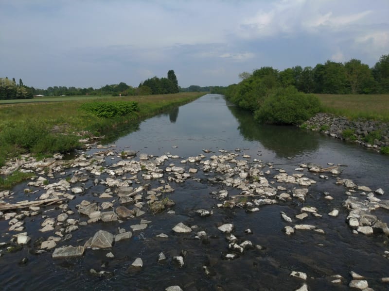 Circuit VTT à Benfeld, au bord de l'eau et loin des routes - Benfeld