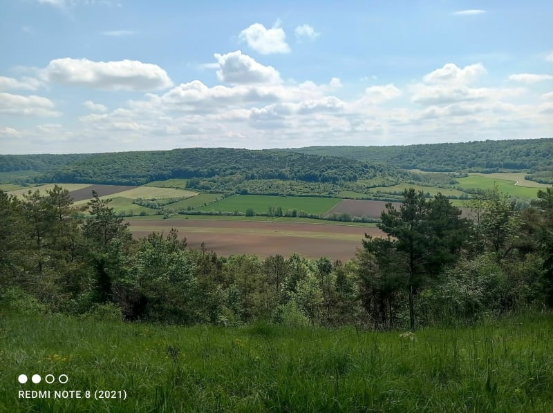 La côte Saint-Germain à Dun-sur-Meuse - Dun-sur-Meuse