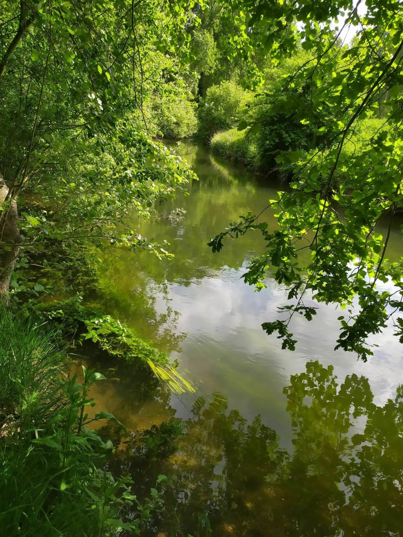 Le long de l'Avre à Boves par Castel à VTT - Boves