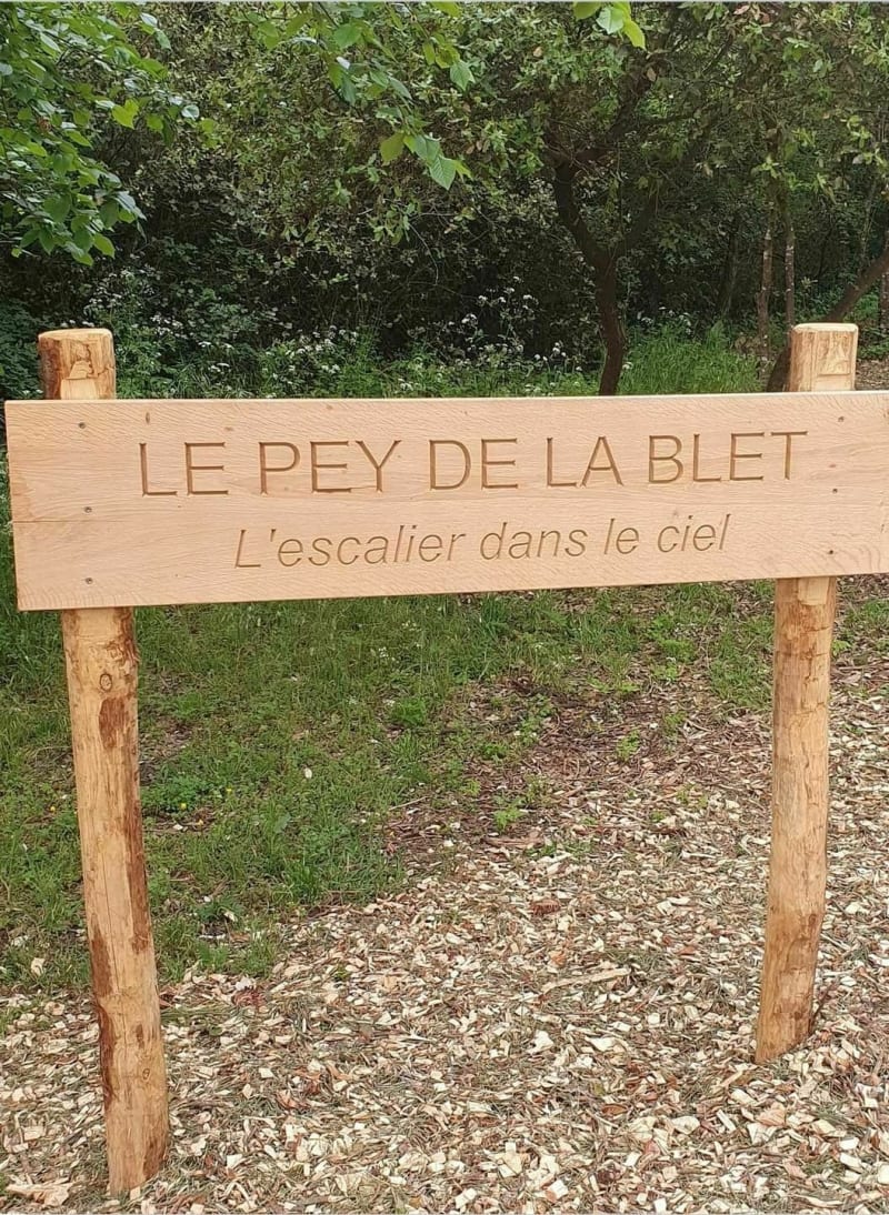 Promenons nous dans les bois des Pays de Monts - La Barre-de-Monts