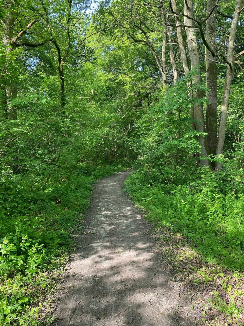 Balade dans le bois de Claye-Souilly - Claye-Souilly