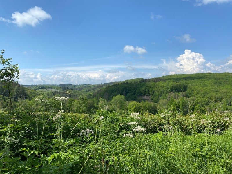 Balade autour de Neuf l’église par Chamoissoux et le ruisseau de Bray - Neuf-Église