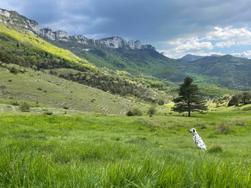 Parcours autour entre Saint-Donat-sur-l'Herbasse et Charmes-sur-l'Herbasse - Saint-Donat-sur-l'Herbasse