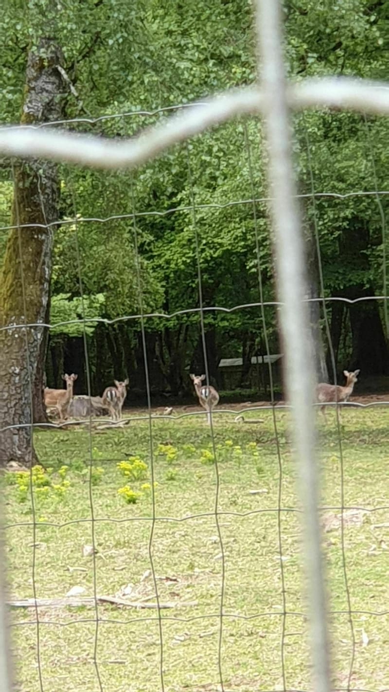 À la rencontre du parc animalier d'Aiglemont - Charleville-Mézières