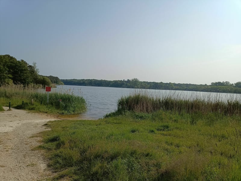 Belvédère et étang de la Vallée au départ de Nesploy - Nibelle