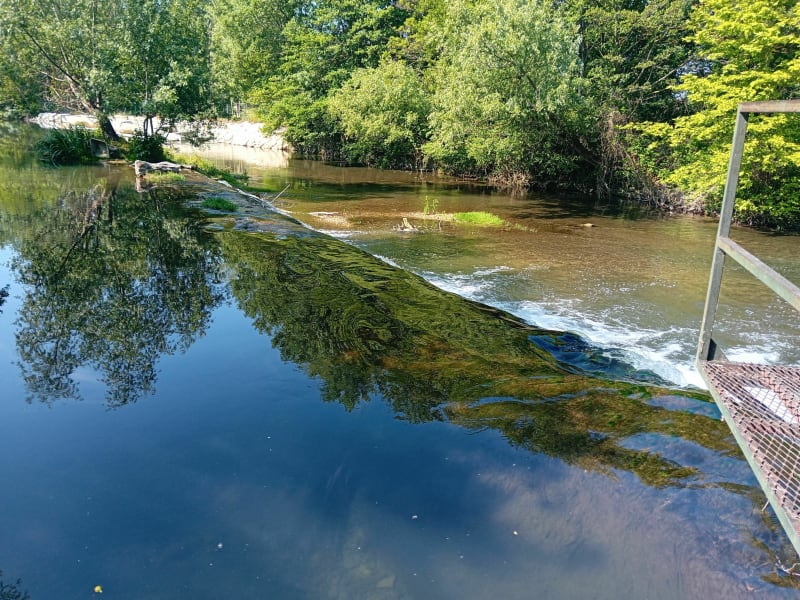 Balade à vélo le long de la Sorgue à Althen-des-Paluds - Pernes-les-Fontaines