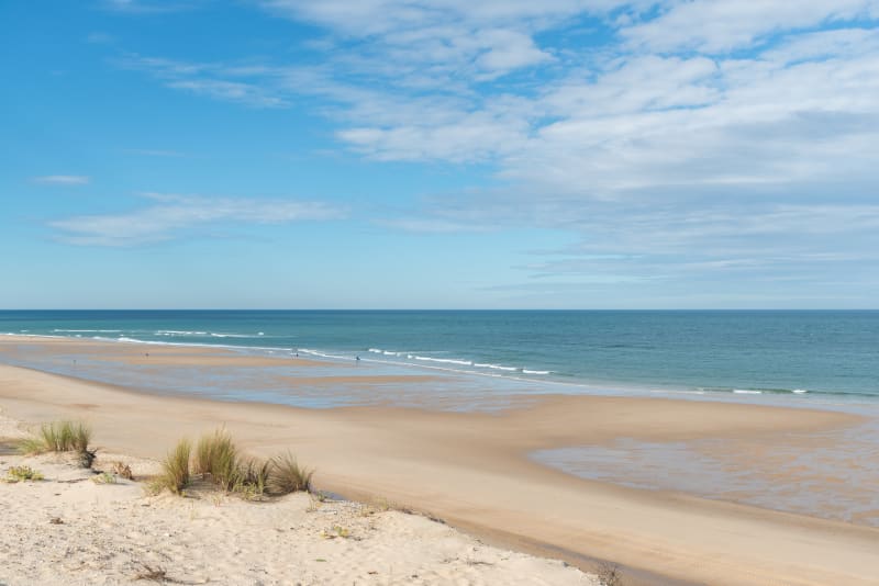 Pins, marais et plage depuis Montalivet - Vendays-Montalivet