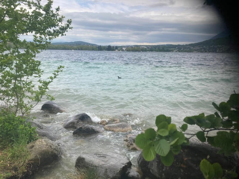 Balade vélo Annecy - Camping champ Tillet à Marlens - Duingt
