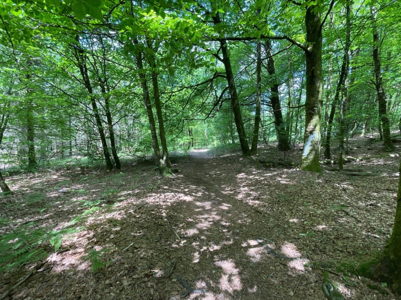 De Razes à Silord - Razès