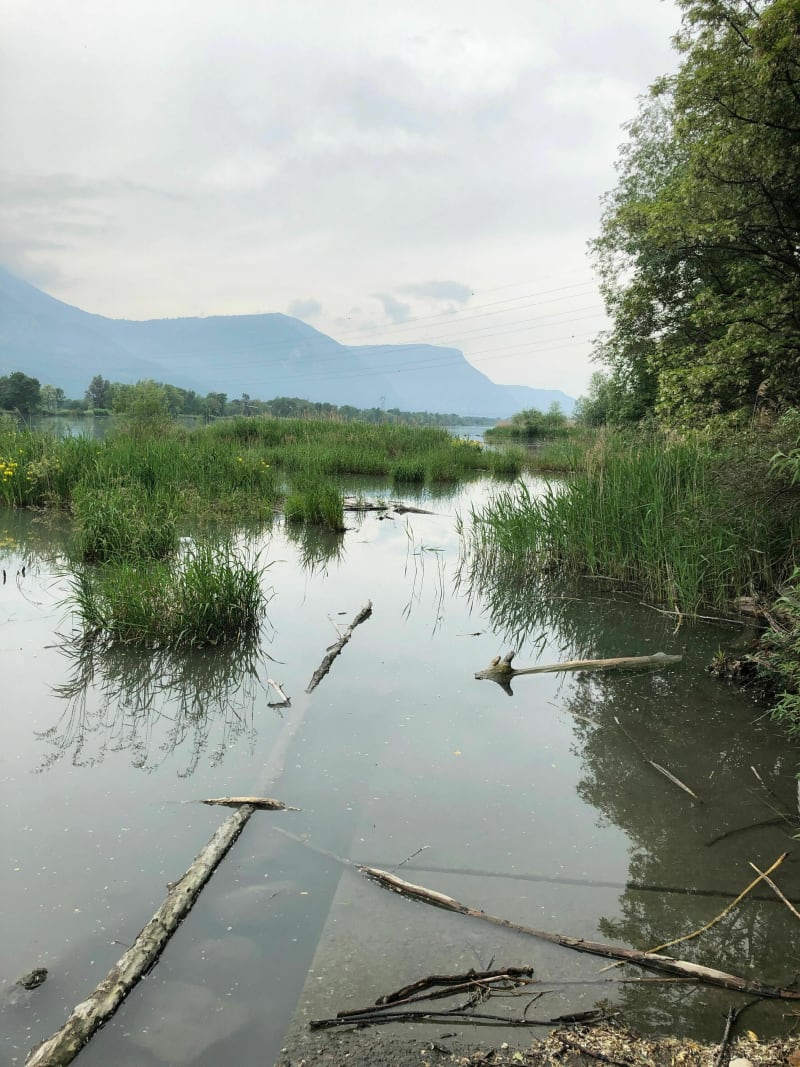 Boucle à Saint Egrève le long de l'Isère - Saint-Égrève