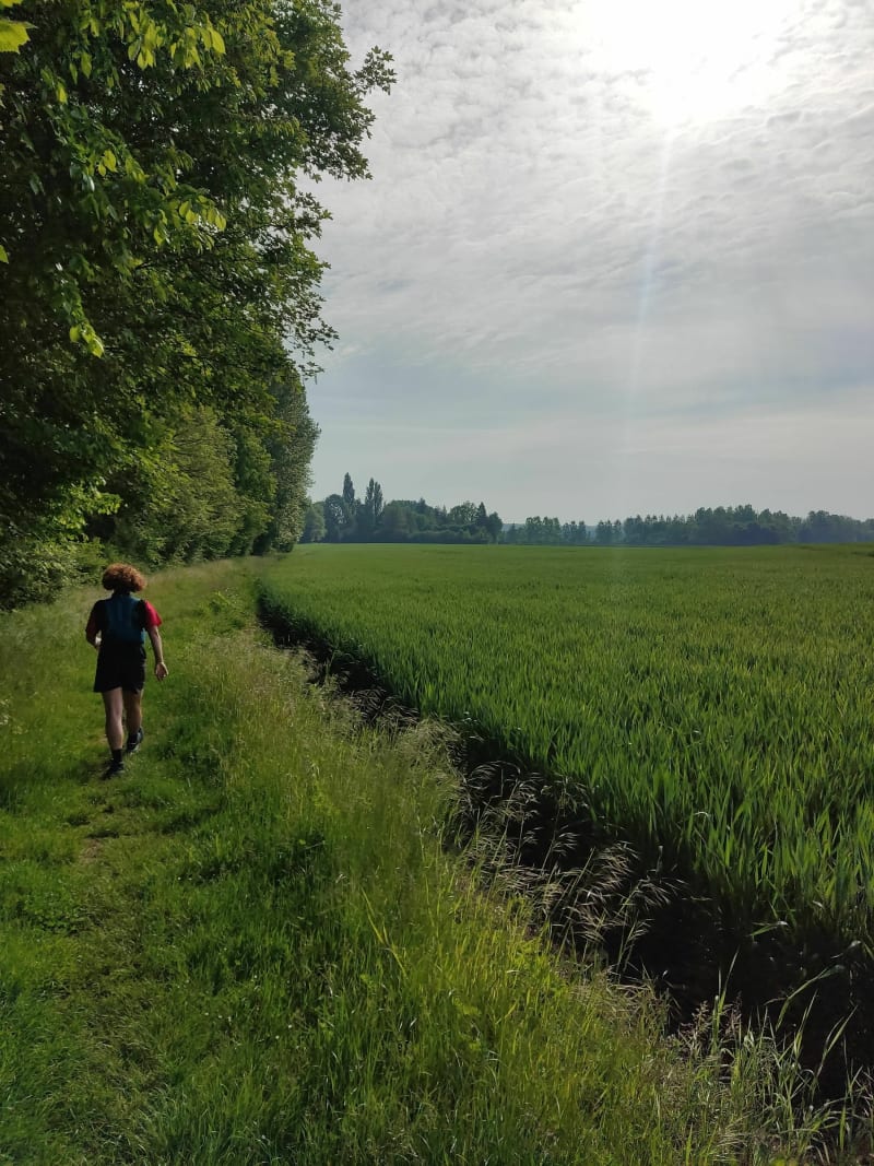 Forêt de la Neuville-en-Hez - La Neuville-en-Hez