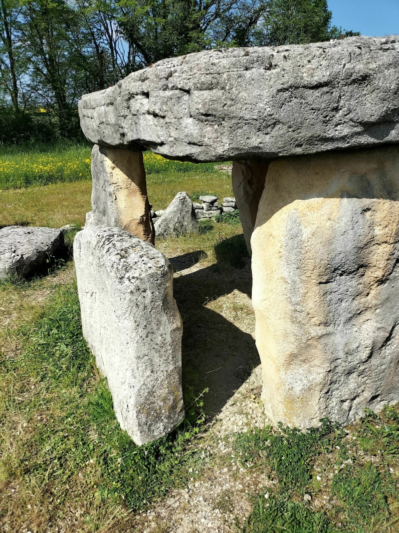 Le tumulus de Bougon - Bougon
