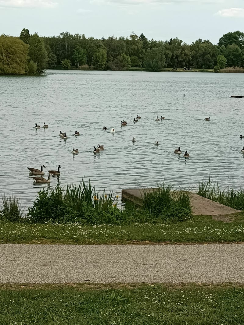 Autour du lac de Châlette-sur-Loing - Châlette-sur-Loing