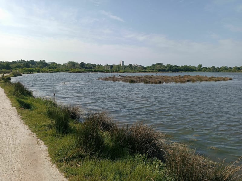 Boucle des prés salés de la Teste aux plages d'Arcachon - La Teste-de-Buch