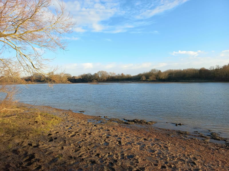 De Sainte-Luce à Saint-Sébastien par les bords de Loire - Sainte-Luce-sur-Loire