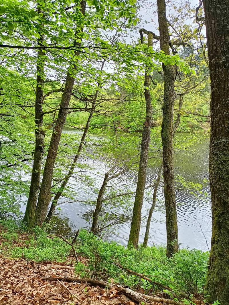 Tour du barrage de la Muratte - Palladuc