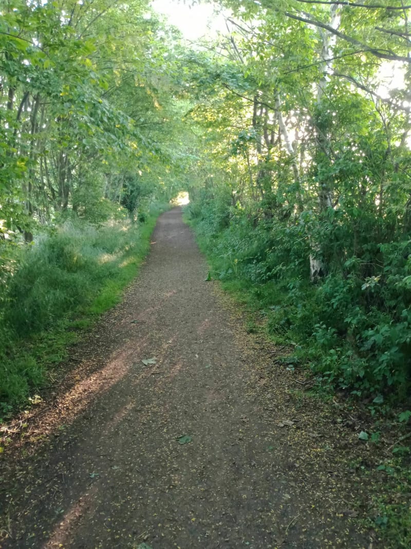 Le long des pistes cyclables entre la campagne et la ville de Mondeville - Mondeville
