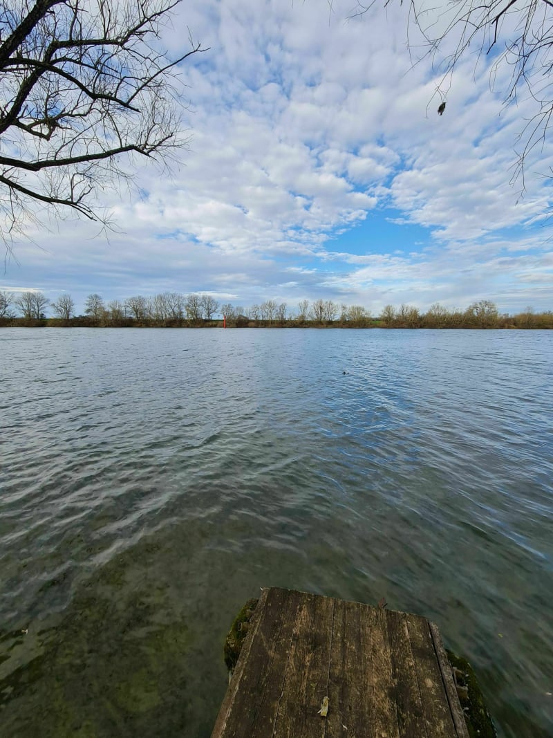 Promenade en Bresse, le long de la Saône par le Bois de Montcoy - Châtenoy-en-Bresse