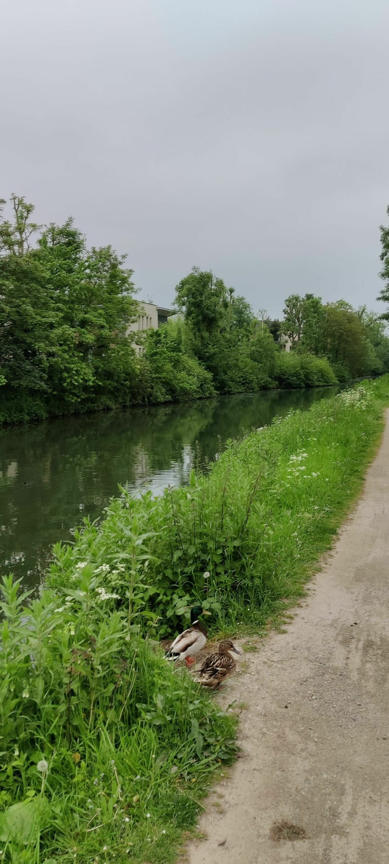 Balade le long du Canal de Roubaix à Lille - Marcq-en-Barœul
