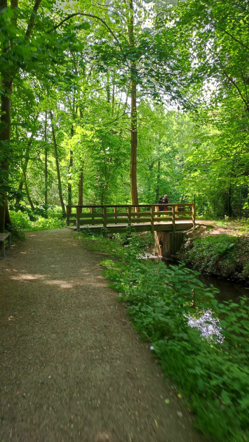 Vers les étangs et en suivant la Bièvre depuis Montreuil - Versailles