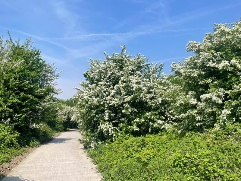 Voie verte et champs à Tourcoing - Mouvaux
