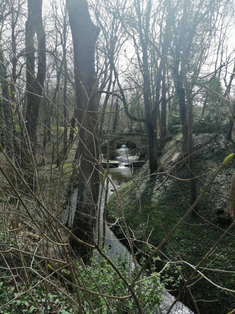Superbe petite balade nature sur Metz métropole - Metz