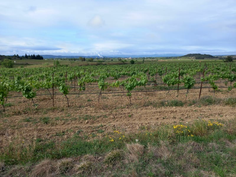 La quotidienne à Beaufort - Beaufort