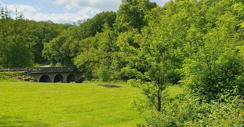 Le long de la Boivre à Vouneuil - Biard