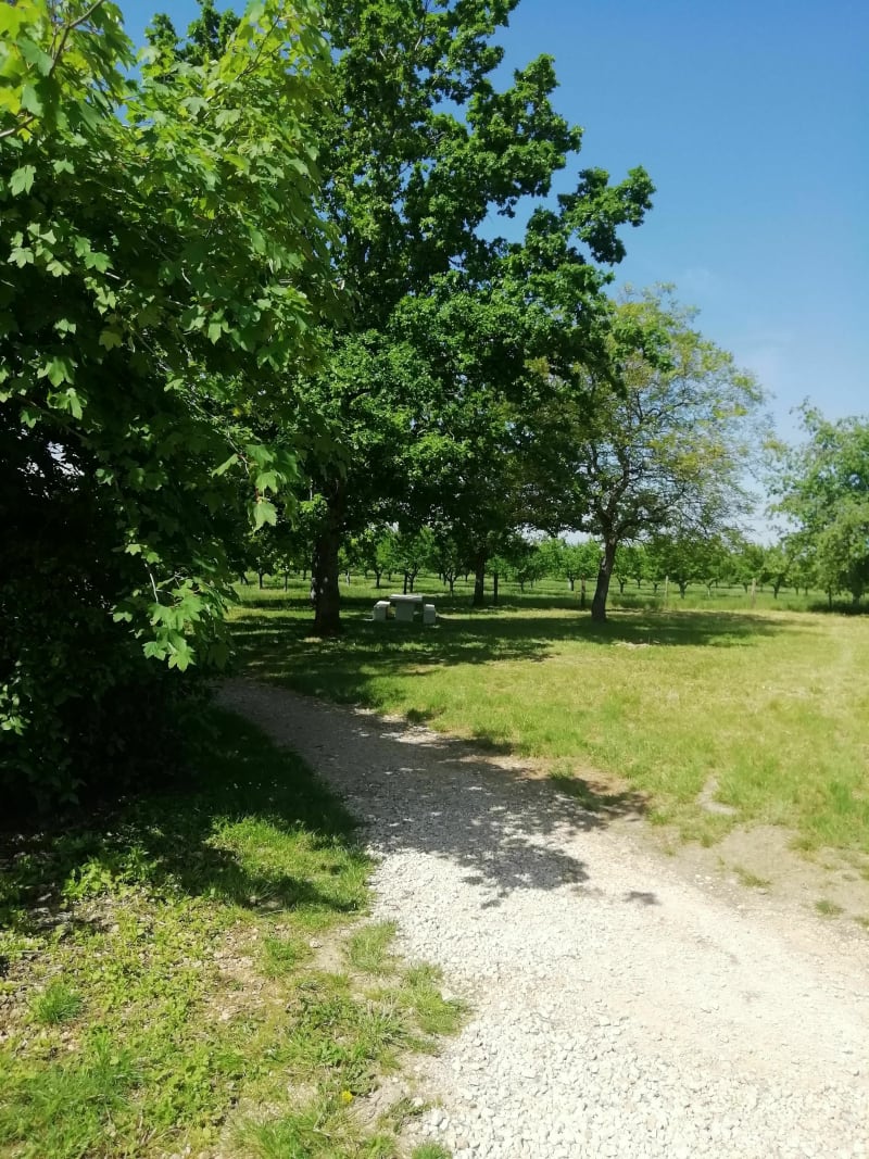 Promenade sur le chemin blanc à Dieulouard - Dieulouard