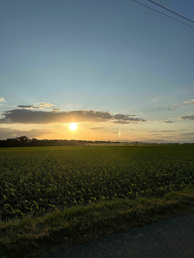 Balade au coucher du soleil à Biesheim - Biesheim