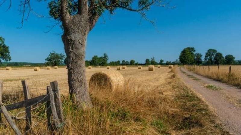 Condé-sur-Ifs le long Laizon - Condé-sur-Ifs
