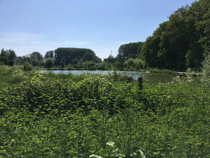 Belle balade dans la MEL - Villeneuve-d'Ascq