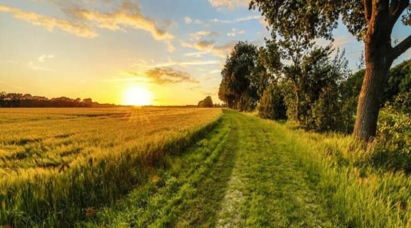 Balade à Quetieville Soquence - Belle Vie en Auge