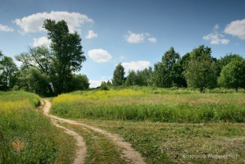 Dans le bocage de Robehomme - Bavent