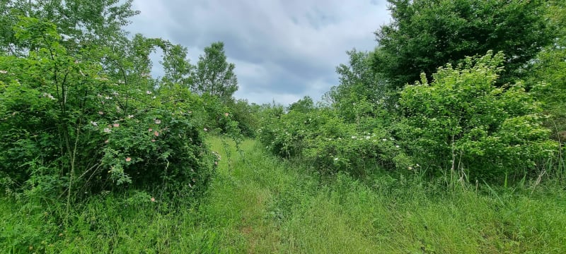 Balade à Saint-Maurice-de-Gourdans - Loyettes