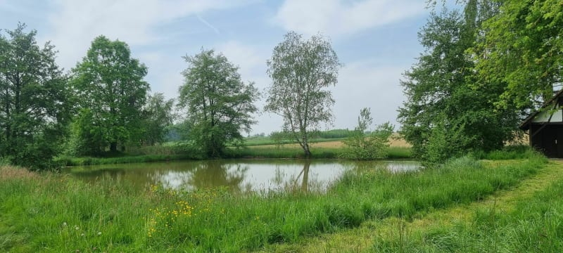 Walheim vers Pfetterhouse Sud Sundgau - Walheim