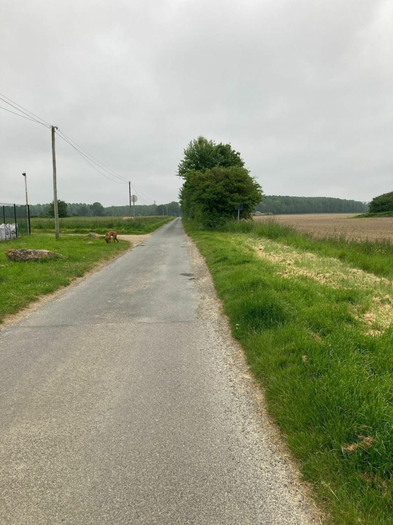 Autour des Egrefins - Neufmoutiers-en-Brie