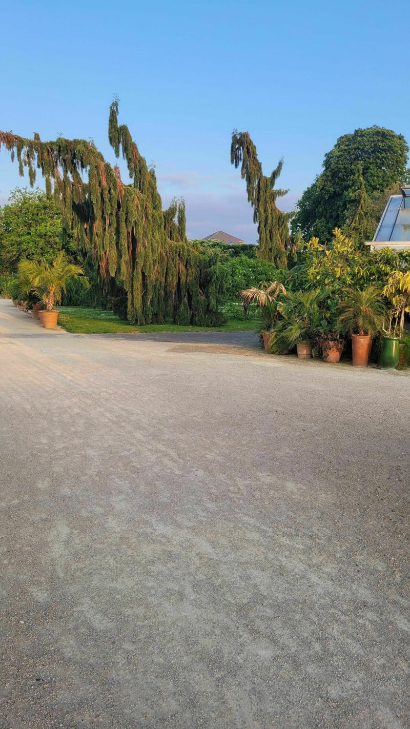 Parcs d'Orléans, le long de la Loire à VTT - Orléans