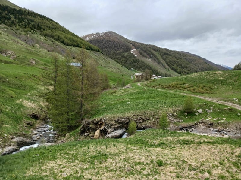 Sentier des marmottes- La Foux d Allos - Allos