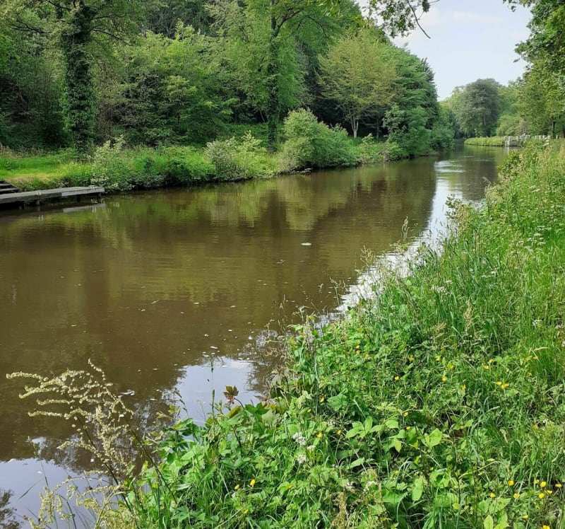 Saint Médard sur Ille : campagne, bois, l'Ille,  le canal. - Saint-Médard-sur-Ille
