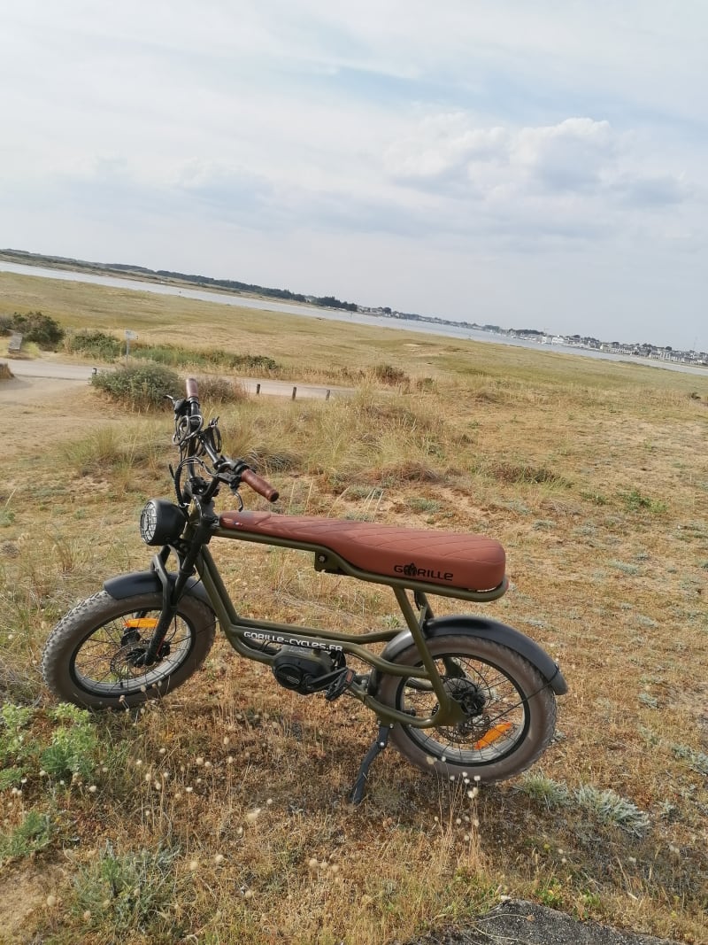 Etel et son port par la Ria - Erdeven