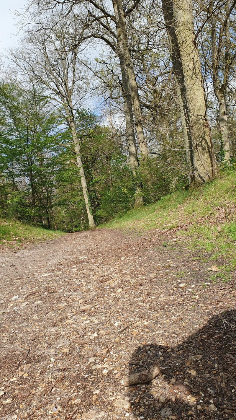 Balade sur les pistes cyclabes et forêt de Rambouillet - Les Clayes-sous-Bois