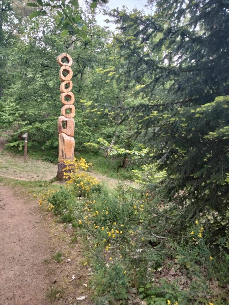 Balade nature par le chemin des Vachères et la Naute - Châtel-Guyon