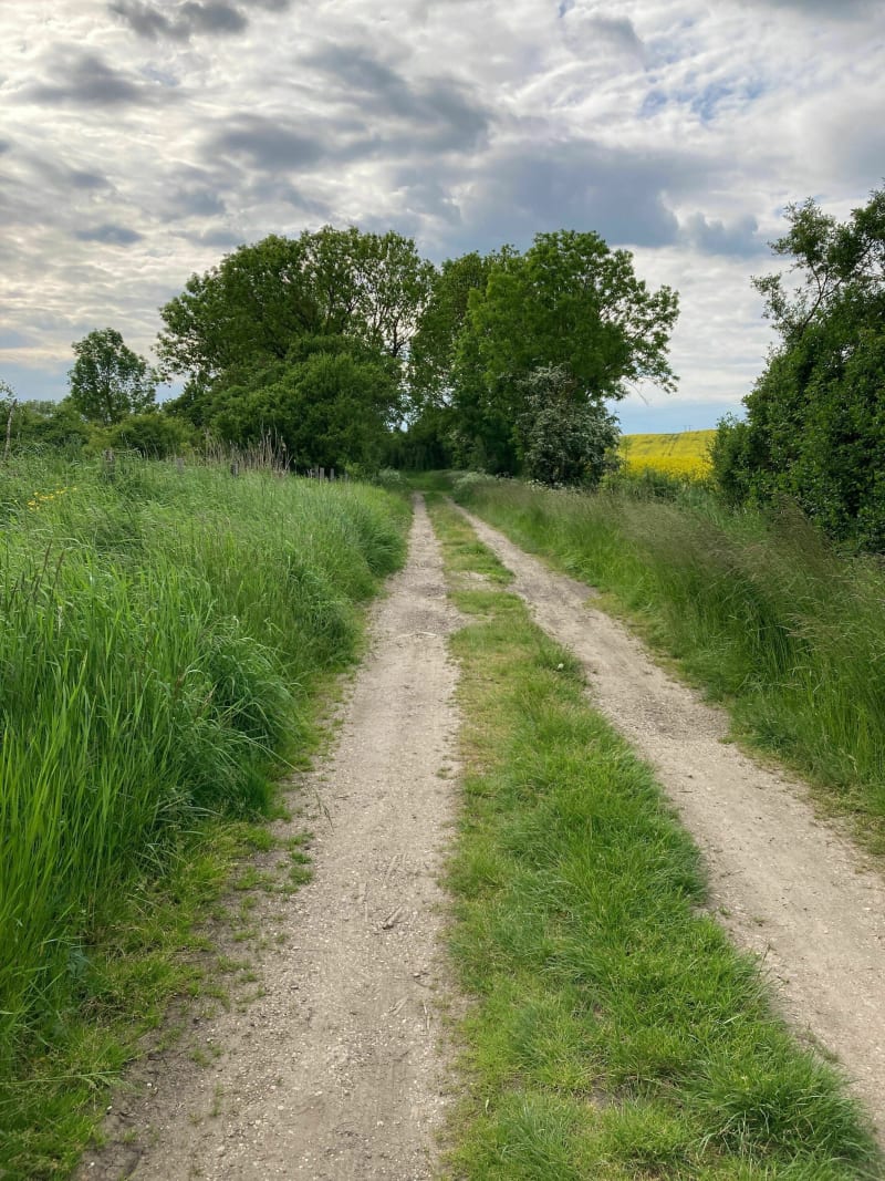 Autour de Rémilly via Aubecourt, Ancerville et Lemud à VTT - Remilly