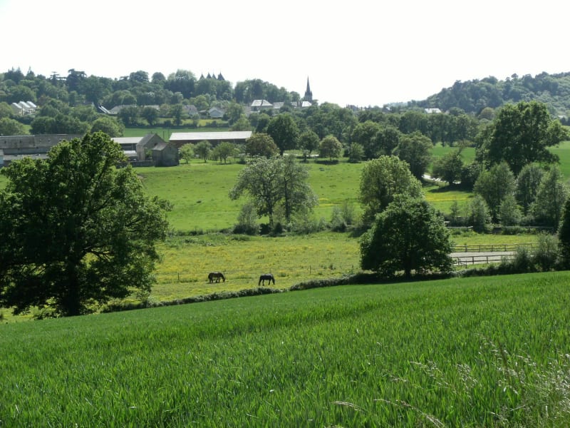 Rando à vélo au sud de Montsûrs - Montsûrs
