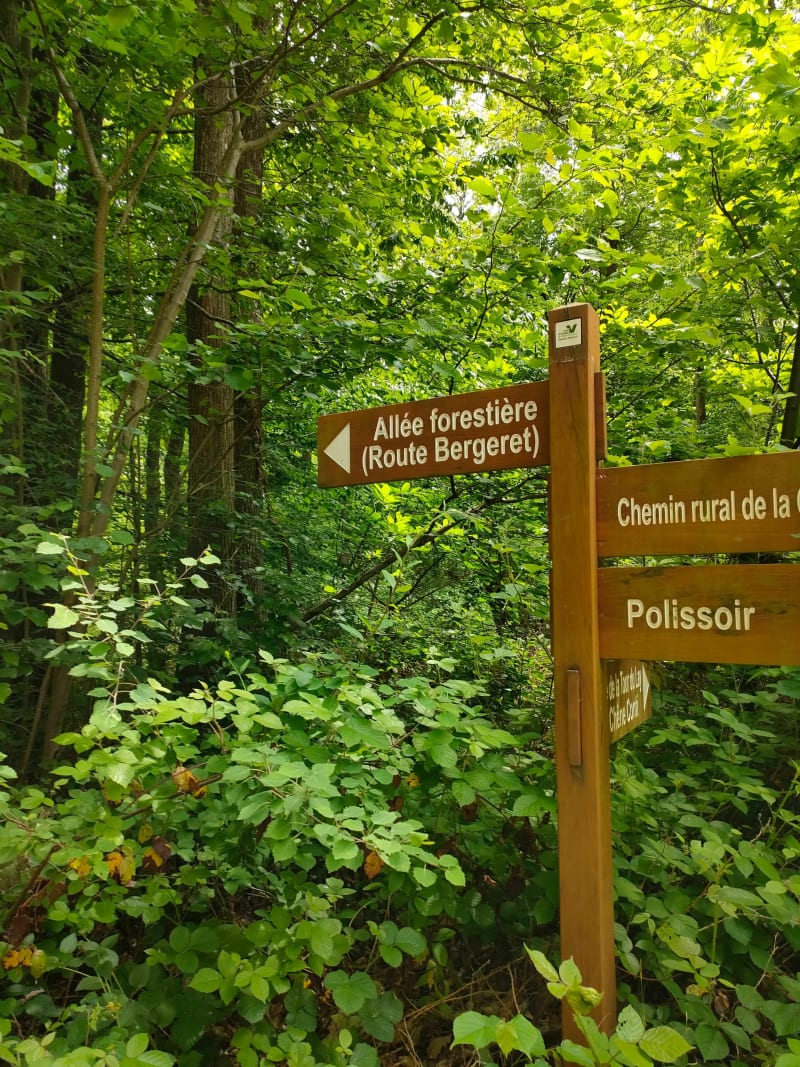 Randonnée dans le Vexin en partant d'Hédouville - Ronquerolles