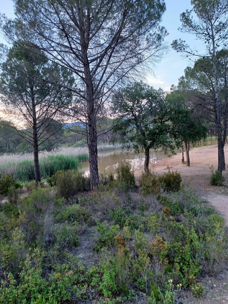 Belle Balade sur chemins à Puget-sur-Argens côté Roquebrune - Puget-sur-Argens