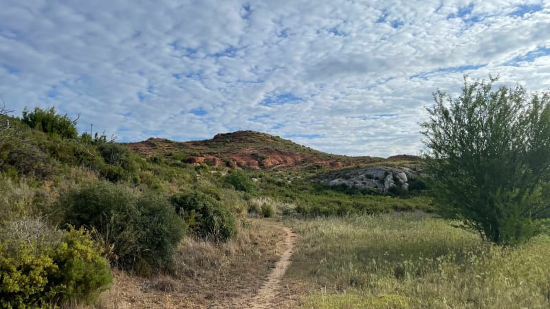 Dans les coteaux des Pennes-Mirabeau - Les Pennes-Mirabeau