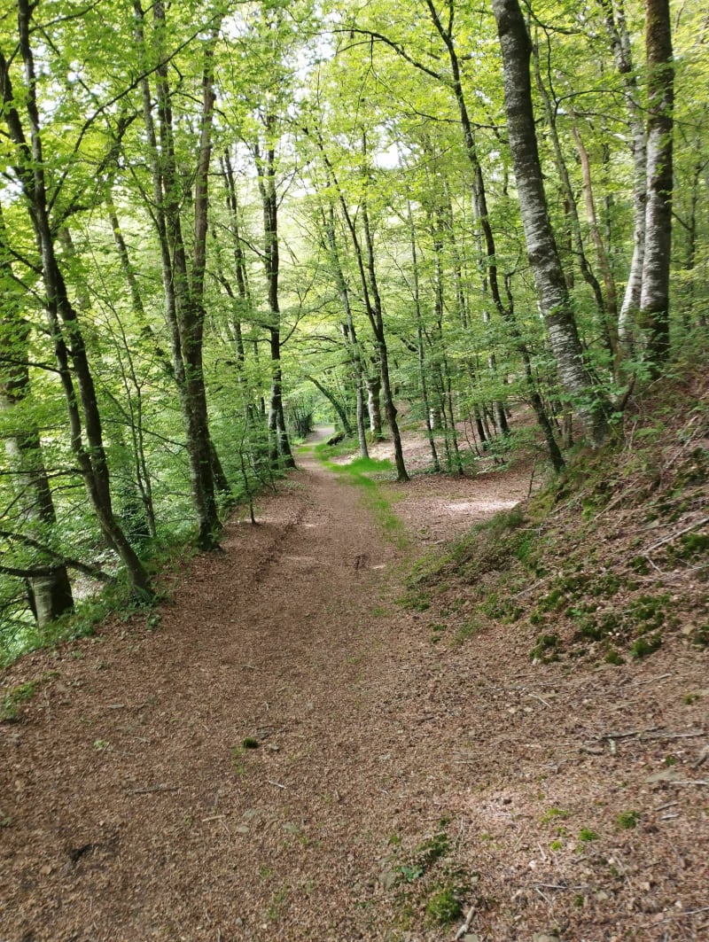 Hambye et son abbaye - Hambye